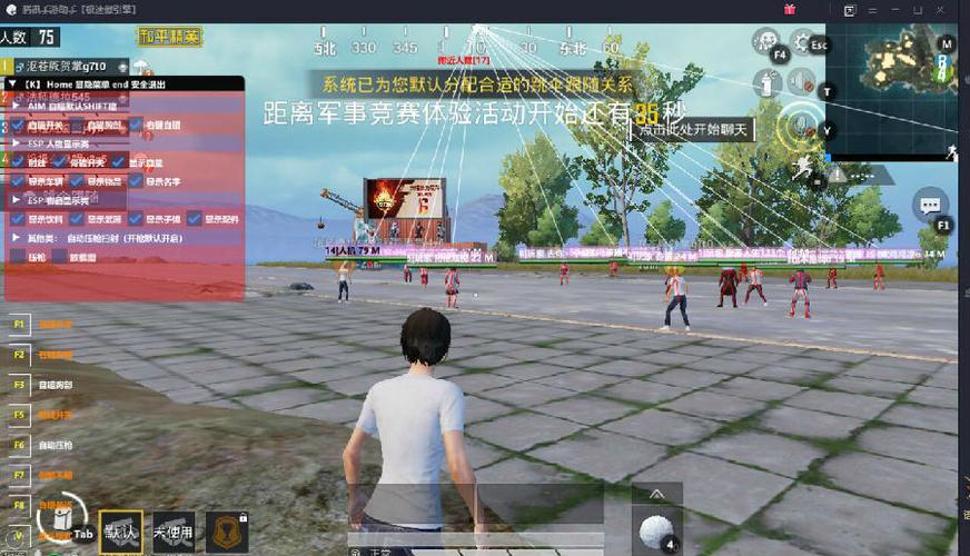 手机和平精英辅助透视