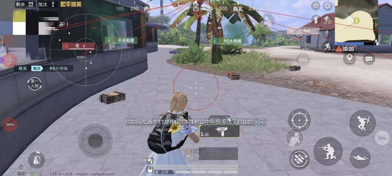 和平精英《敖光》辅助