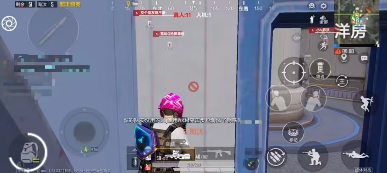 和平精英辅助【巡查员直装V1.0】人物透视 雷达预警 全车美化 枪械美化 人物加速